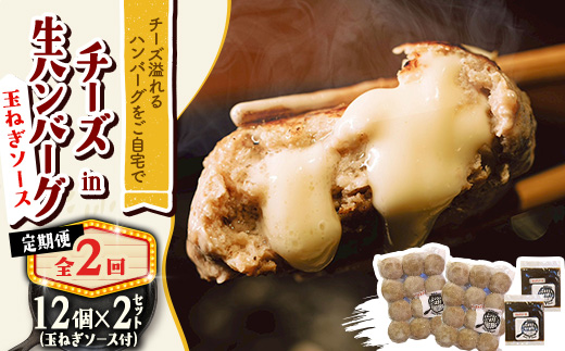 【毎月定期便】チーズ in ハンバーグ(生)12個(玉ねぎソース150g) 2セット全2回【配送不可地域：離島】