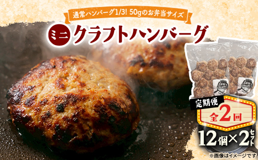【毎月定期便】ミニクラフトハンバーグ(ミニ12個入り 1セット)　ソースなし 2セット全2回【配送不可地域：離島】