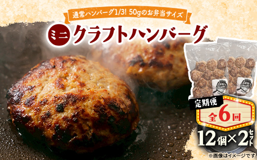 【毎月定期便】ミニクラフトハンバーグ(ミニ12個入り 1セット)　ソースなし 2セット全6回【配送不可地域：離島】