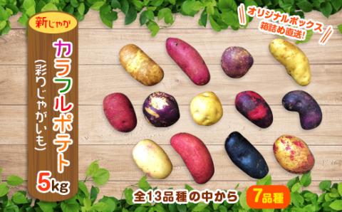 【十勝ガールズ農場】直送!新じゃが「カラフルポテト(彩りじゃがいも)」いろいろ試せる「7種」5kg!【配送不可地域：離島】