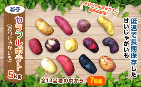 【十勝ガールズ農場】直送!越冬「カラフルポテト(彩りじゃがいも)」いろいろ試せる「7種」約5kg!【配送不可地域：離島】