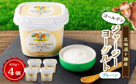ゴールデンジャージーヨーグルト　450g×4個【配送不可地域：離島】