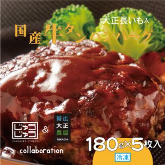 国産牛タンハンバーグ(大正長いも入)180g×5枚入【配送不可地域：離島】
