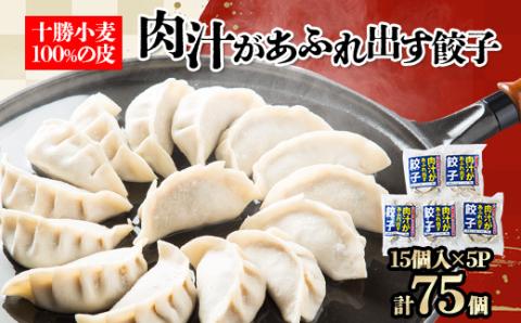 十勝餃子手房にしかわの肉汁があふれ出す餃子セット　15個入×5パック【配送不可地域：離島】