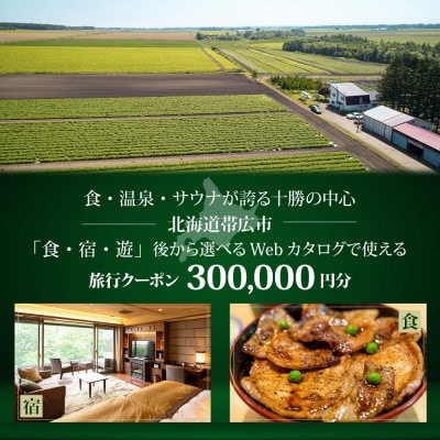 【北海道ツアー】帯広市 後から選べる旅行Webカタログで使える!旅行クーポン 30万円分