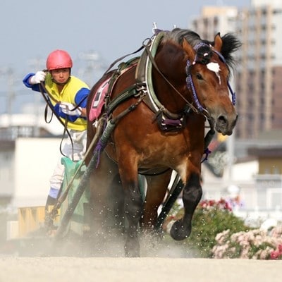 【北海道帯広】世界にたったひとつ!ばんえい競馬　個人冠協賛レース