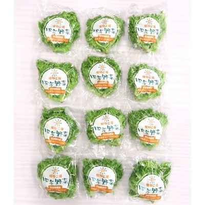 四季野菜(マルチリーフクイーン)80g×12袋【配送不可地域：離島】