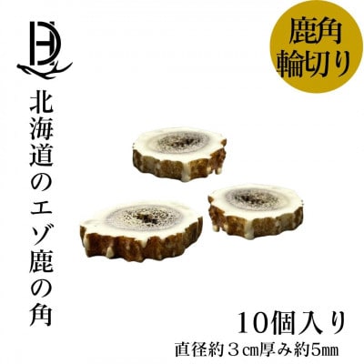 鹿の角 輪切り 10個入り 北海道産 アクセサリー クラフト材