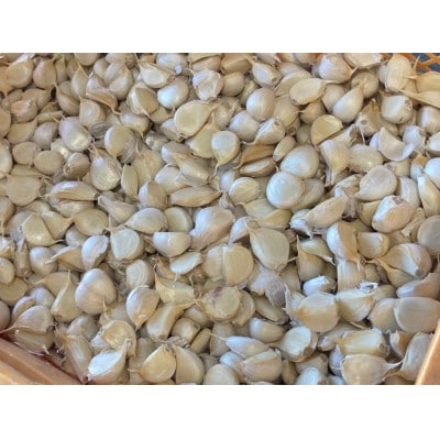 十勝野黒にんにく　バラ【1.5kg】