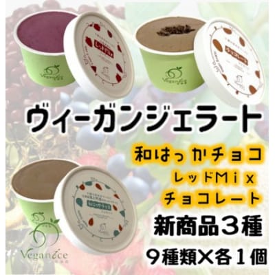 北海道産ヴィーガンジェラート　6個+新商品3個セット【配送不可地域：離島】