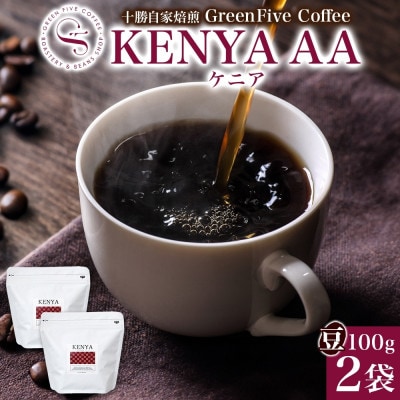 コーヒー豆 ケニア 100g×2袋 鮮度を高めたスペシャルティコーヒー 北海道帯広市