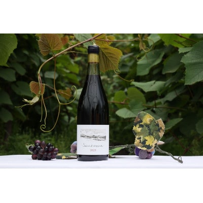 相澤ワイナリー sachirera2023 (赤ワイン)【配送不可地域：離島】