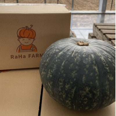 北海道帯広市産　かぼちゃ「きみまろん」10kg　糖度15～19