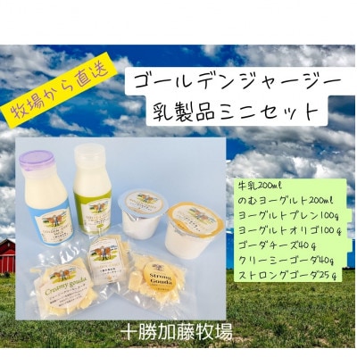 ゴールデンジャージー乳製品(牛乳・のむヨーグルト・プレン・オリゴ・チーズ3種)ミニセット【配送不可地域：離島】