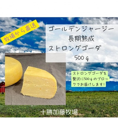 ゴールデンジャージー　長期熟成ストロングゴーダ　500g【配送不可地域：離島】