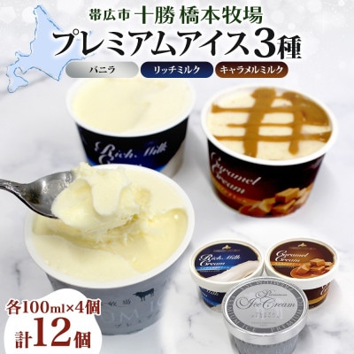 十勝橋本牧場 プレミアムアイス 全味食べ比べセット(3種×各4個)【配送不可地域：離島・沖縄県】