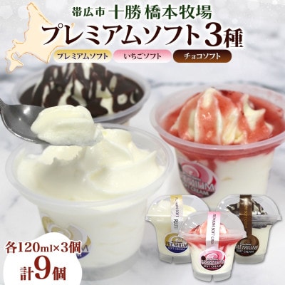 十勝橋本牧場 プレミアムソフト 全味食べ比べセット(3種×各3個)【配送不可地域：離島・沖縄県】