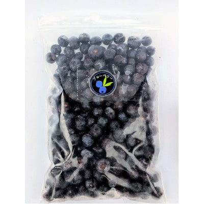 【令和8年8月以降出荷】【北海道十勝産 希少品種】冷凍ブルーベリー500g×2袋【配送不可地域：離島】