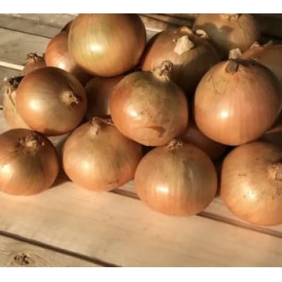 【訳あり】北海道 十勝 帯広産 玉ねぎ 20kg【配送不可地域：離島】