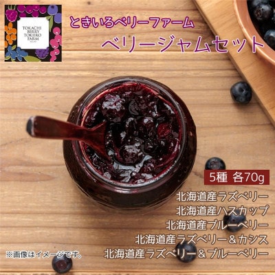 ベリージャムセット全5種 各70g×2セット