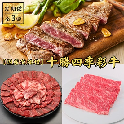 【毎月定期便】十勝四季彩牛　焼肉・すき焼き・ステーキセット 全3回【配送不可地域：離島】