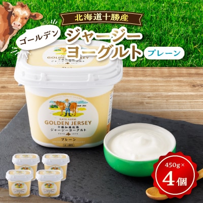 【毎月定期便】ゴールデンジャージーヨーグルト 450g×4個 北海道 十勝 加藤牧場全3回【配送不可地域：離島】