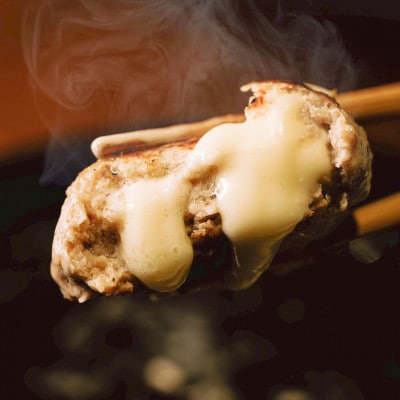 【毎月定期便】チーズ in ハンバーグ　グリル 4個入 (デミグラスソース)2セット全6回【配送不可地域：離島】