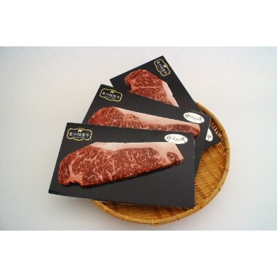 2023年1月発送開始『定期便』氷室熟成カルビ、ロース、ヒレステーキのセット全3回【配送不可地域：離島】