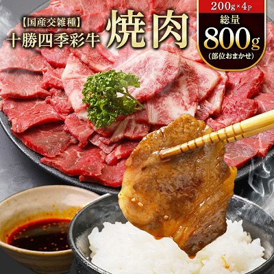 2023年2月発送開始『定期便』十勝四季彩牛 焼肉・切落し・すき焼きセット全3回【配送不可地域：離島】