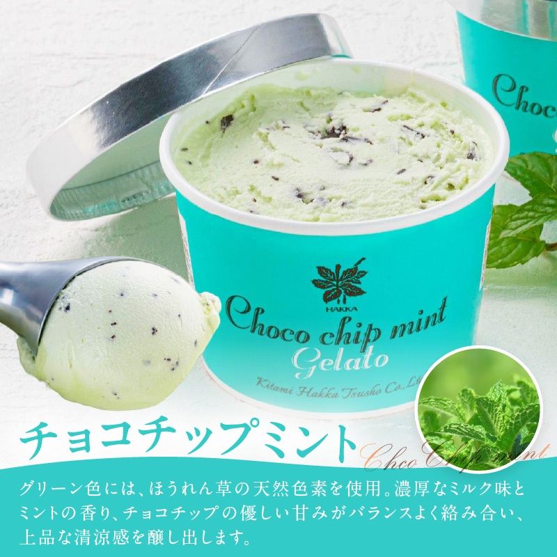 ミントジェラート1L 2種×1個 ( ジェラート アイス アイスクリーム ハッカ チョコ ミント ミントアイス スイーツ チョコチップミント カカオ ふるさと納税 )【007-0017】