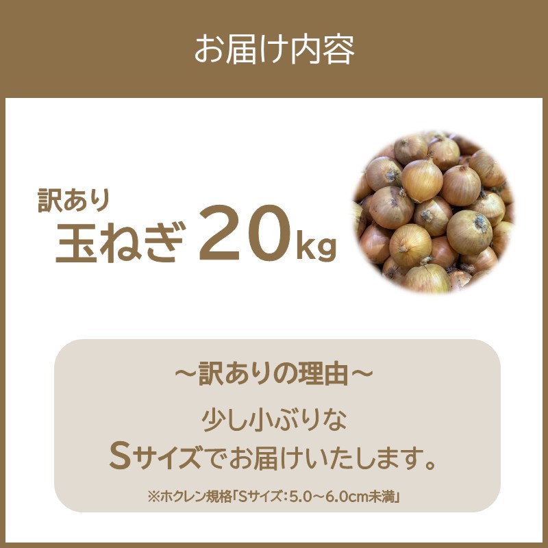 【訳アリ】玉ねぎ 20kg Sサイズ ( 北海道産 野菜 たまねぎ わけあり )【009-0005】