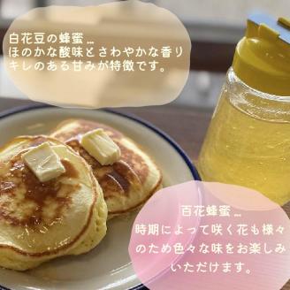 《14営業日以内に発送》【国産蜂蜜】はちみつ450g パッカー容器2本 ( 白花豆蜂蜜 百花蜂蜜 はちみつ 蜂蜜 ハチミツ ハニー パッカー容器 )【022-0013】