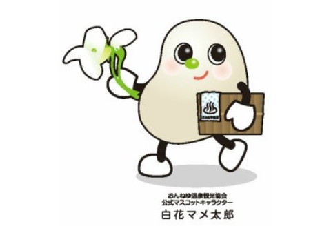 白花かすてら 15個入 ( スイーツ デザート カステラ お中元 贈答 ギフト )【027-0001】