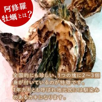 【予約：2026年10月中旬から順次発送】サロマ湖産 海のミルク 阿修羅牡蠣 5kg ( 魚介類 海鮮 魚介 牡蠣 かき カキ 海のミルク サロマ湖 5キロ 期間限定 国産 1年カキ )【031-0015-2026】