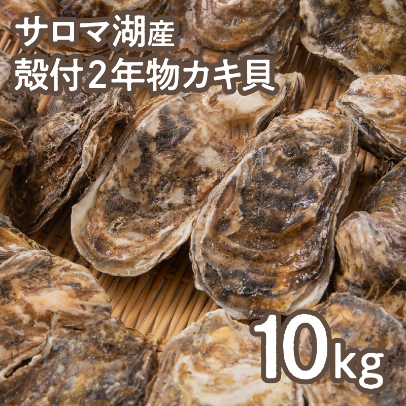 【予約：2025年10月より順次発送】【カキナイフ付】海のミルクサロマ湖産殻付2年物カキ貝 10kg 80～100個入 ( 海鮮 魚介類 貝 お歳暮 お祝い BBQ )【031-0020】