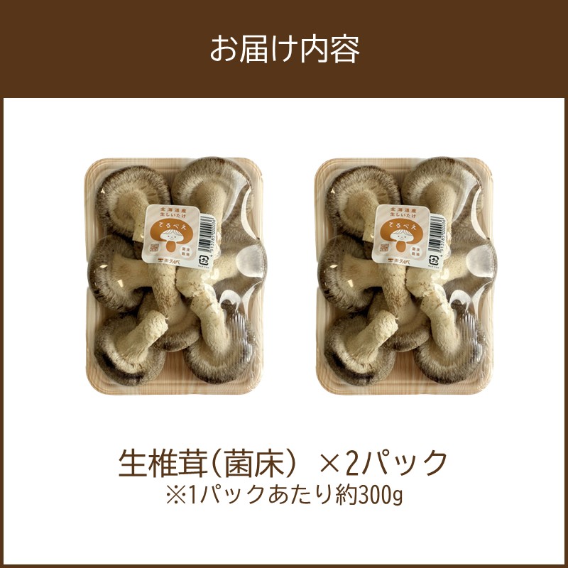 北海道産 生しいたけ(菌床) 2パック ( きのこ キノコ 椎茸 シイタケ )【038-0006】