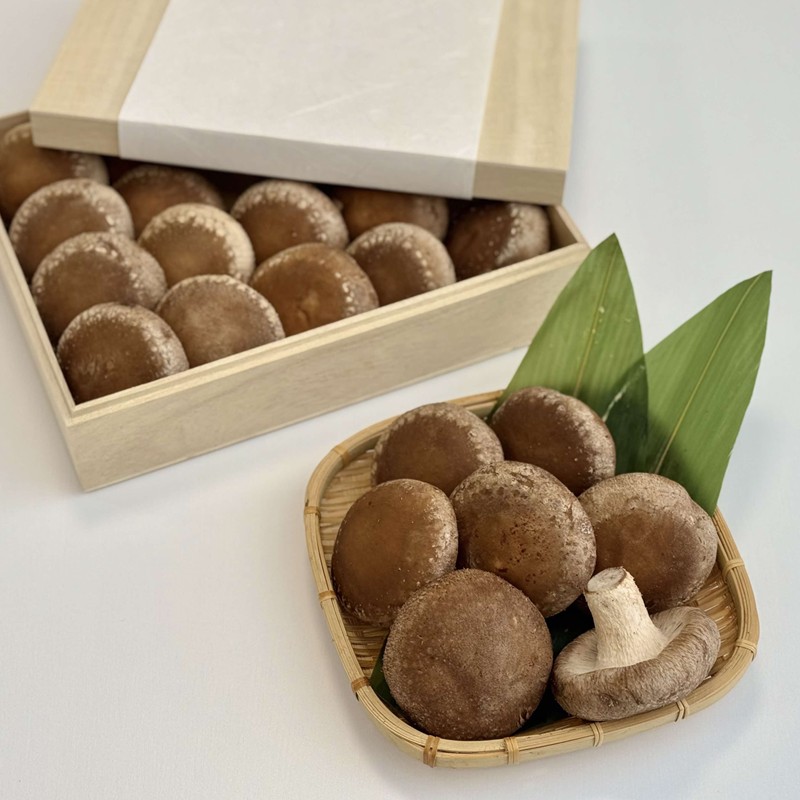 【木箱入】北海道産 生しいたけ(菌床) 乾しいたけ(ひと口・スライス)セット ( きのこ キノコ 椎茸 シイタケ )【038-0007】