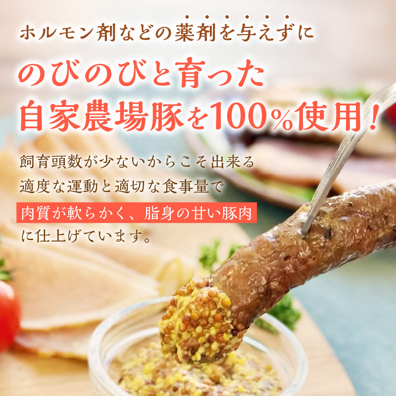 フレンズハム 手造り厳選セット ( お肉 にく ウインナー ベーコン ハム プレスハム ロースハム 生ハム ソフト サラミ 厳選 セット おつまみ 贈答 贈り物 ギフト プレゼント )【047-0002】