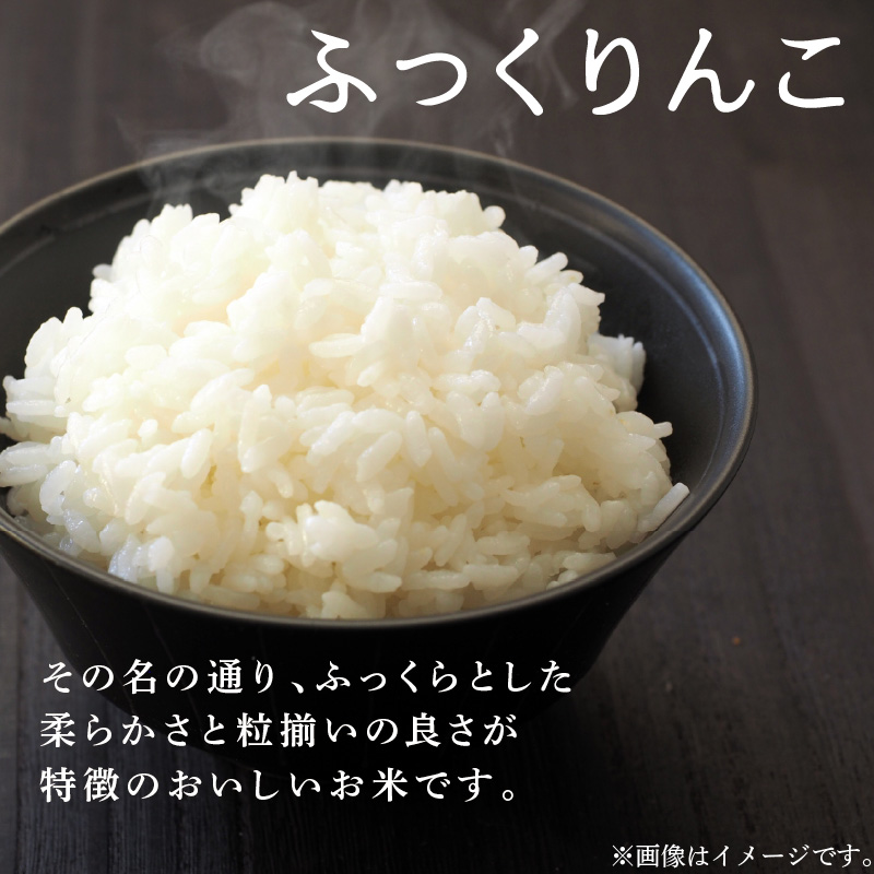 《7営業日以内に発送》令和7年産 ふっくりんこ 10kg 北海道産 精白米 ( お米 米 白米 北海道 精米 10キロ 5kg ごはん ライス )【080-0092】