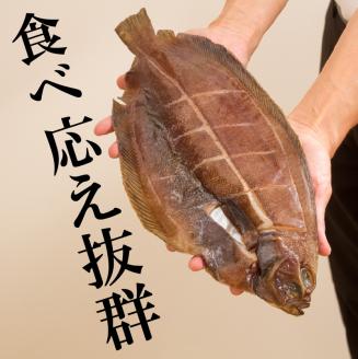 旨味凝縮！ナメタガレイの一夜干し 5枚セット 食べやすいカット入り ( 一夜干し 干物 セット 簡単 夕食 北海道 時短 カレイ おつまみ おかず )【094-0004】