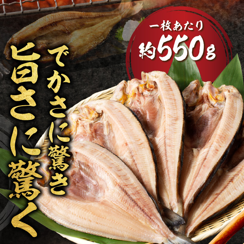 北海道産 なまらでかい！開きホッケ 5枚セット ( ほっけ 海鮮 魚 冷凍 ふるさと納税 真空パック プレゼント お中元 お歳暮 贈答 贈り物 )【094-0087】