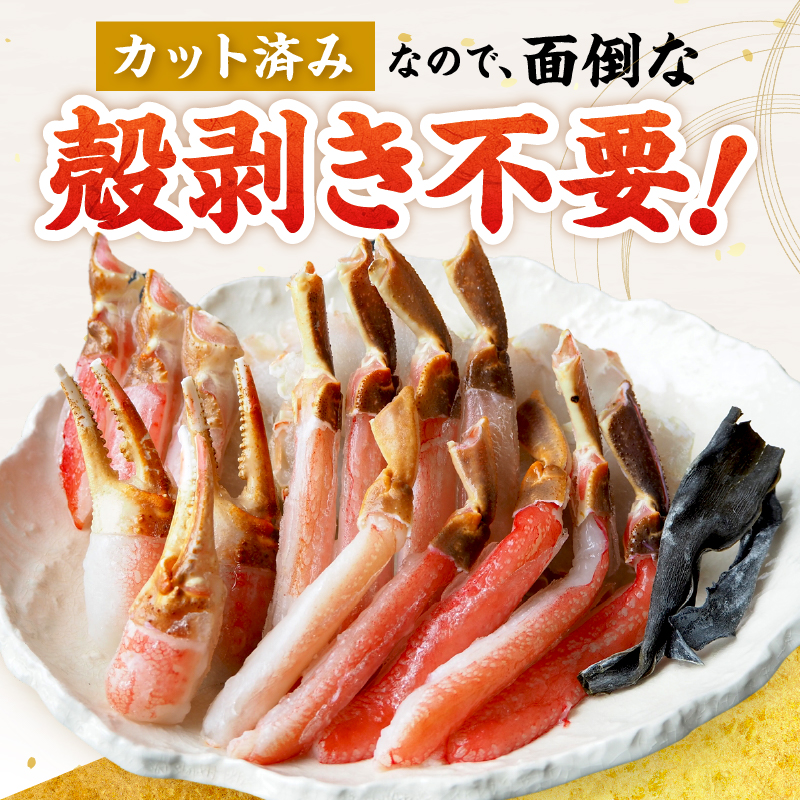 【北見応援返礼品】北見市加工 生冷本ズワイガニセット 800g 昆布入 ( 海鮮 魚介類 魚介 蟹 かに カニ セット 鍋 カニ鍋 カニ爪 ズワイガニ かにしゃぶ カット済 贈答 ギフト 熨斗 のし ふるさと納税 )【094-0071-yell】