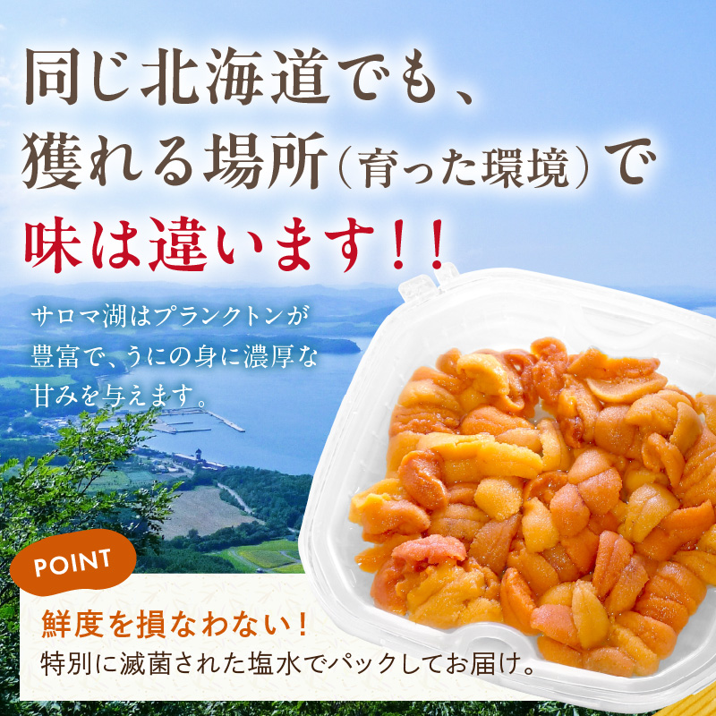 【予約：2026年4月中旬から順次発送】サロマ湖産 生うに ( 海鮮 雲丹 うに ウニ 塩水 生ウニ 生うに ウニ丼 エゾバフンウニ ムキ身 高級 1パック 期間限定 )【114-0006-2026】