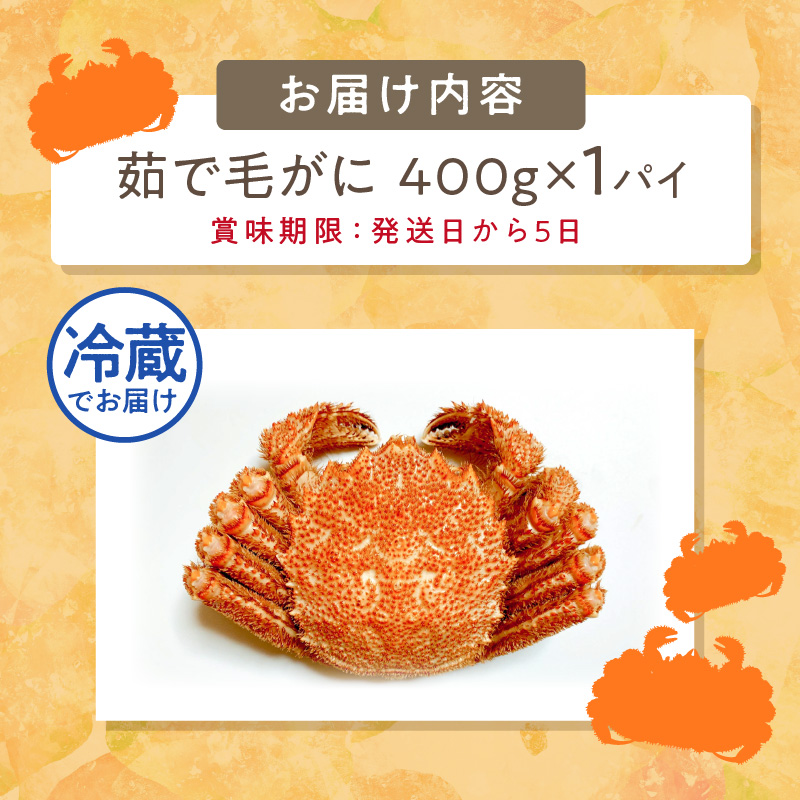 【予約：2025年3月下旬から順次発送】【旬の浜ゆで毛ガニを冷蔵便で】オホーツク海産 浜茹で海明け毛がに 約400g×1パイ 冷蔵 ( かに 蟹 魚介類 海鮮 )【114-0017-2025】