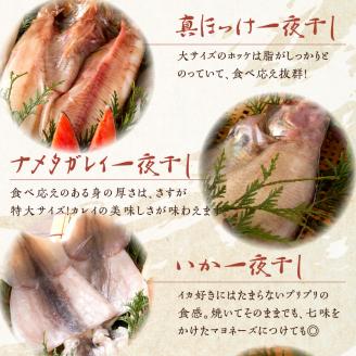 《14営業日以内に発送》船長自慢の海鮮セット ( 海鮮セット 海鮮 魚介類 ホッケ ナメタガレイ いか サーモン 鮭 時鮭 紅鮭 )【114-0065】