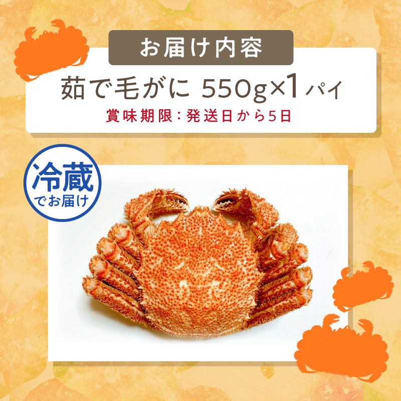 【予約：2025年3月下旬から順次発送】【旬の浜ゆで毛ガニを冷蔵便で】オホーツク海産 浜茹で海明け毛がに 約550g×1パイ 冷蔵 ( かに 蟹 魚介類 海鮮 )【114-0027-2025】