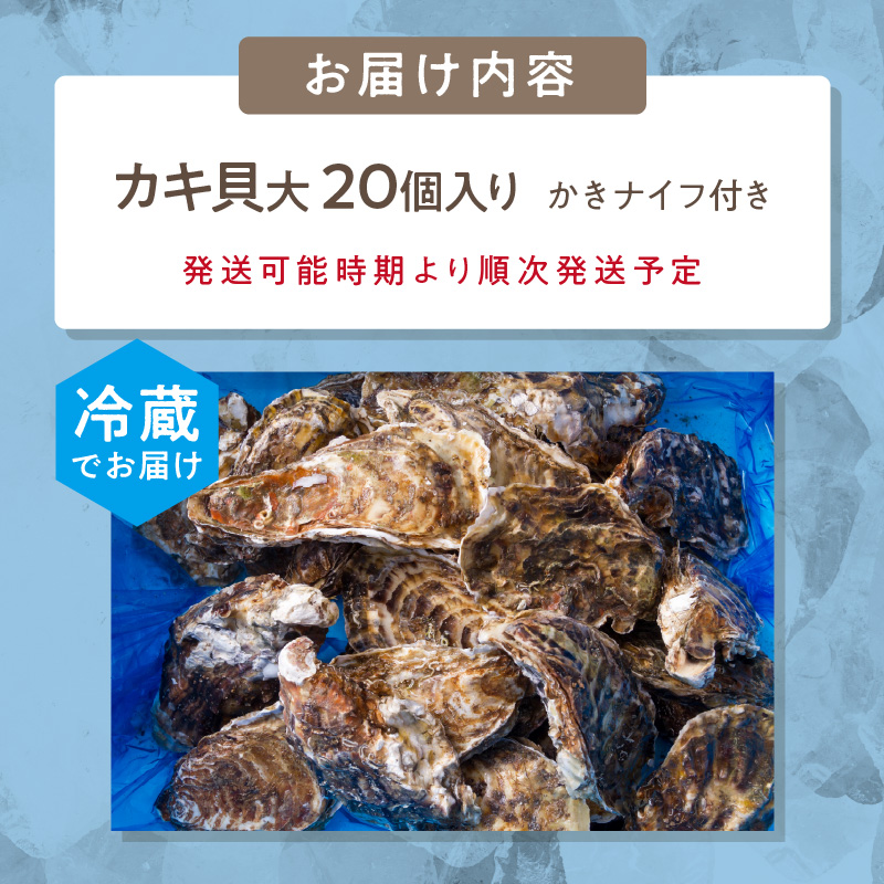 【予約：2025年11月中旬から順次発送】サロマ湖自慢の殻付きカキ貝 2年物 大 20個 ( 牡蠣 かき 濃厚 大きい 魚介類 貝類 殻付 殻付き牡蠣 BBQ バーベキュー )【114-0045】