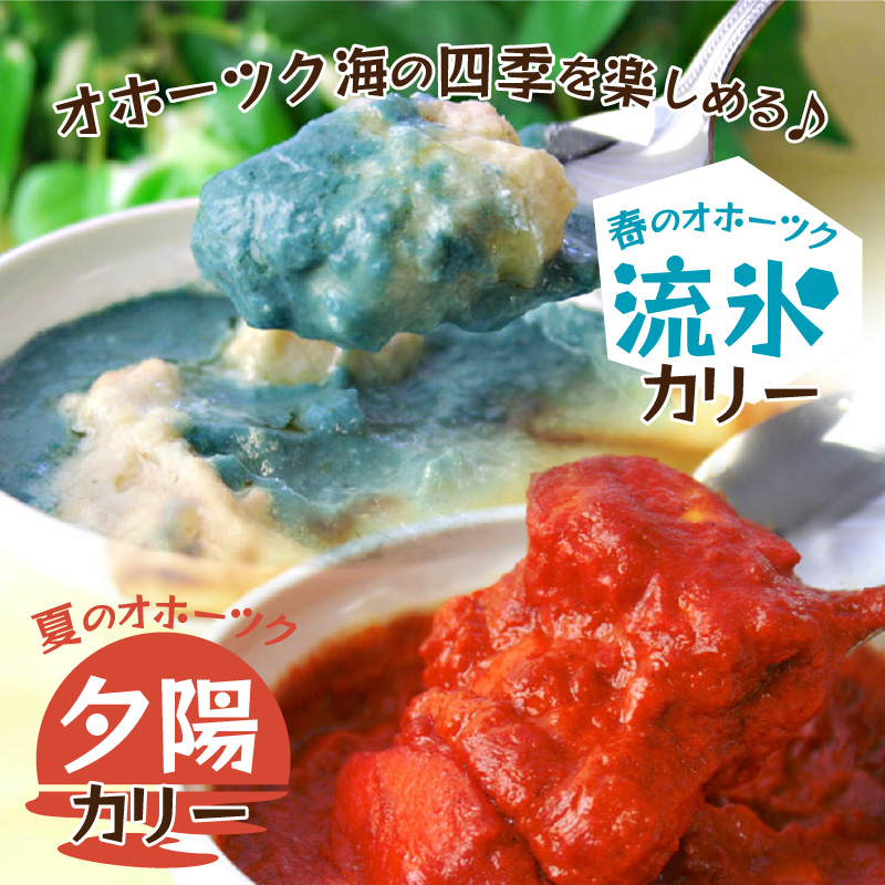 クリシュナ 春夏オホーツクカリー 2食セット 手焼きナン付 ( 食品 加工品 惣菜 カレー ナン セット 五つ星ホテル オホーツク海 オホーツクカレー )【127-0005】
