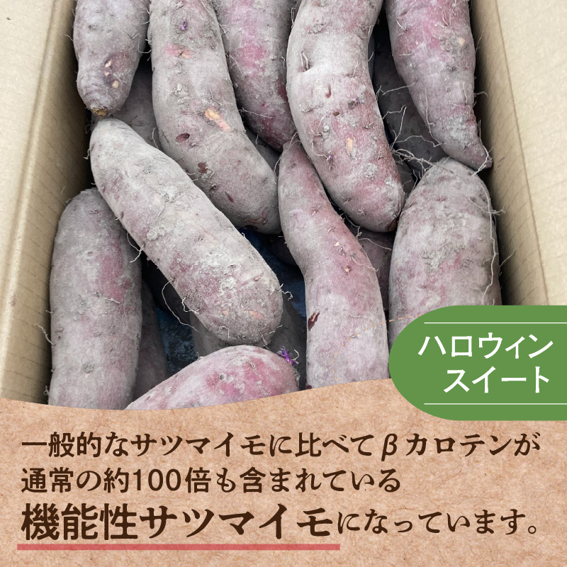 【予約：2025年10月下旬から順次発送】北の果てのサツマイモ ハロウィンスイート ※土付き ( 北海道 野菜 芋 さつま芋 さつまいも サツマイモ 期間限定 数量限定 )【133-0001-2025】