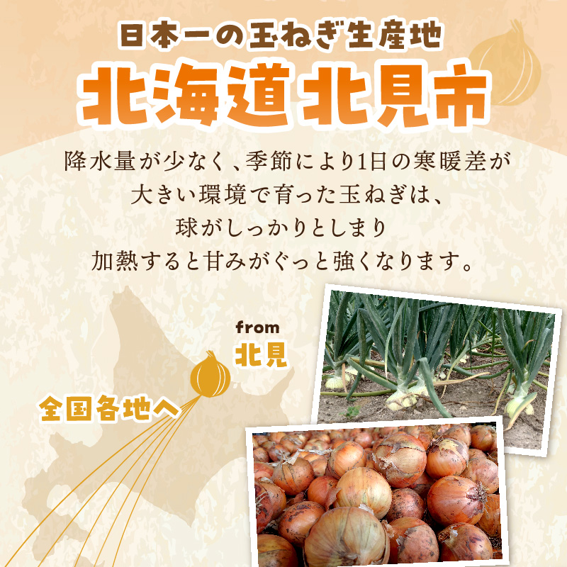 【予約：2026年10月から順次発送】日本一の生産地！北海道北見市の玉ねぎ 5kg！スープ2本付き♪ ( 玉ねぎ 玉葱 たまねぎ タマネギ オニオン スープ 即席 料理 )【164-0006-2026】